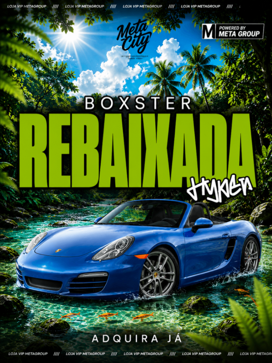 BOXSTER REBAIXADA