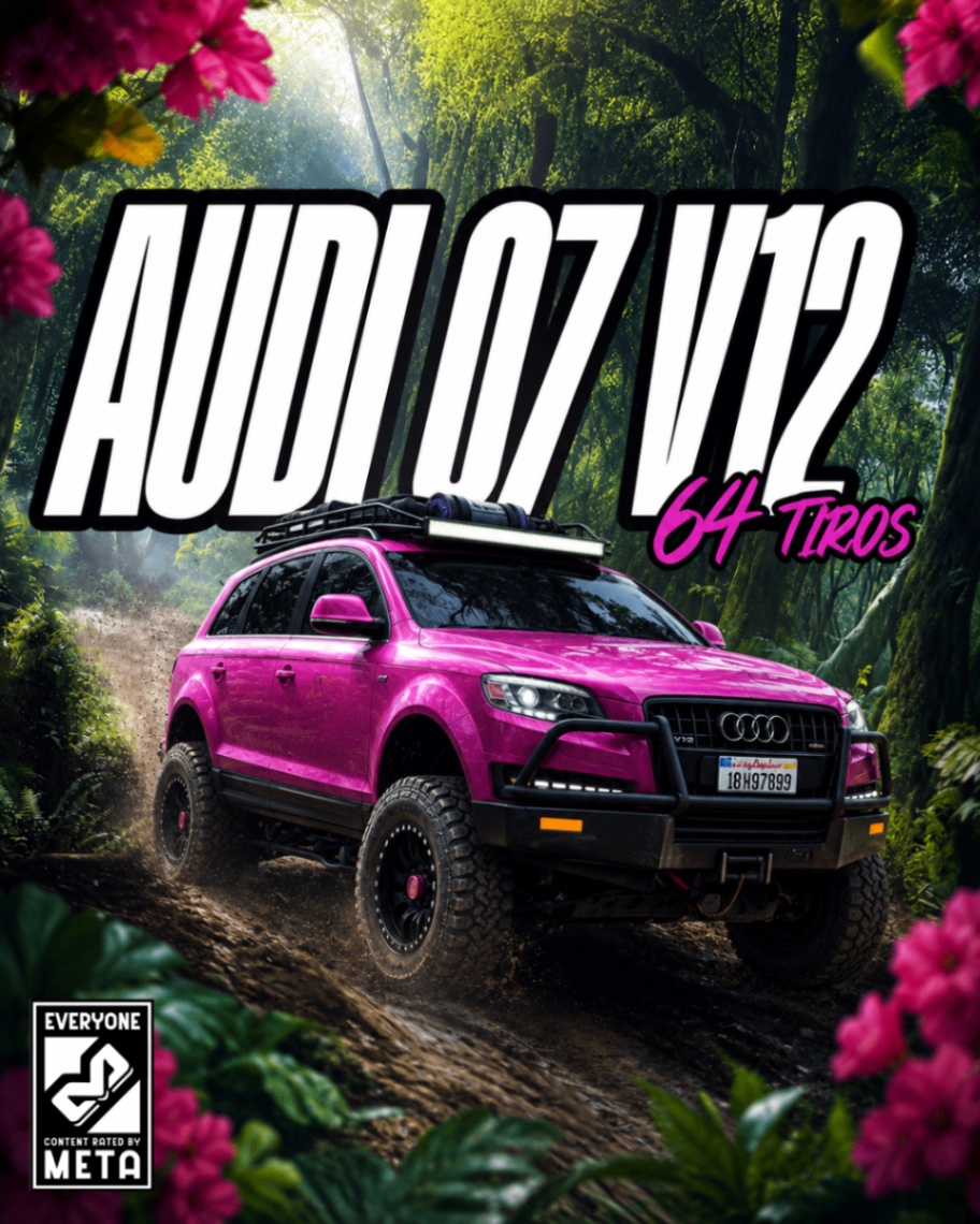 AUDI Q7 V12 64 TIROS PERMANENTE ATÉ WIPE