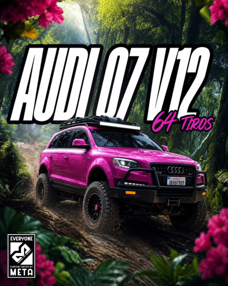 AUDI Q7 V12 64 TIROS